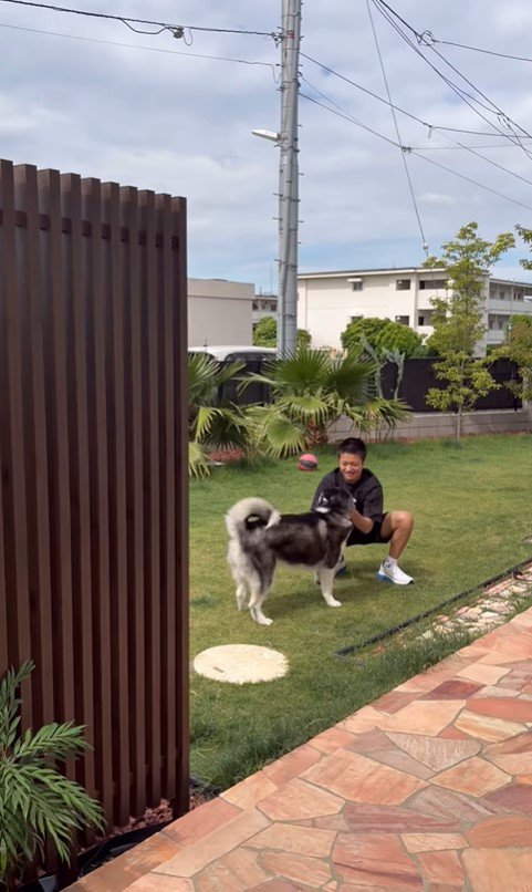 豆蔵くんとお兄ちゃんの再会⑩
