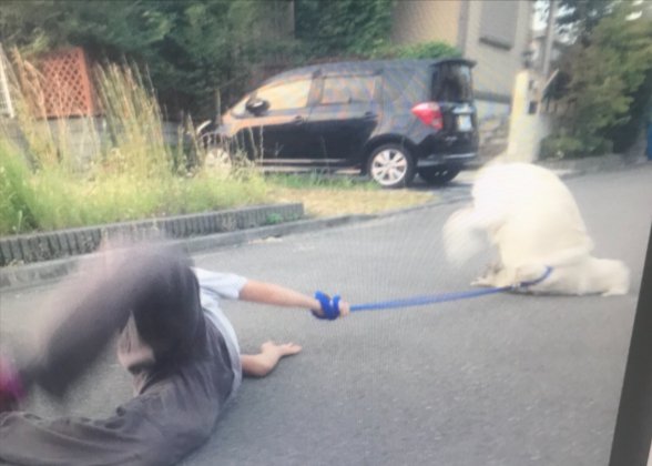 まさかの