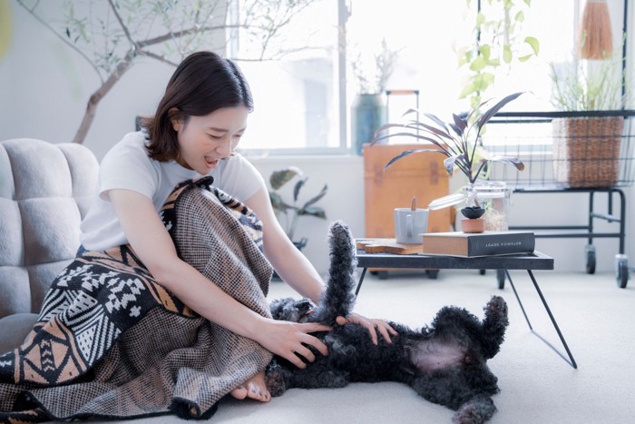 犬を撫でる女性