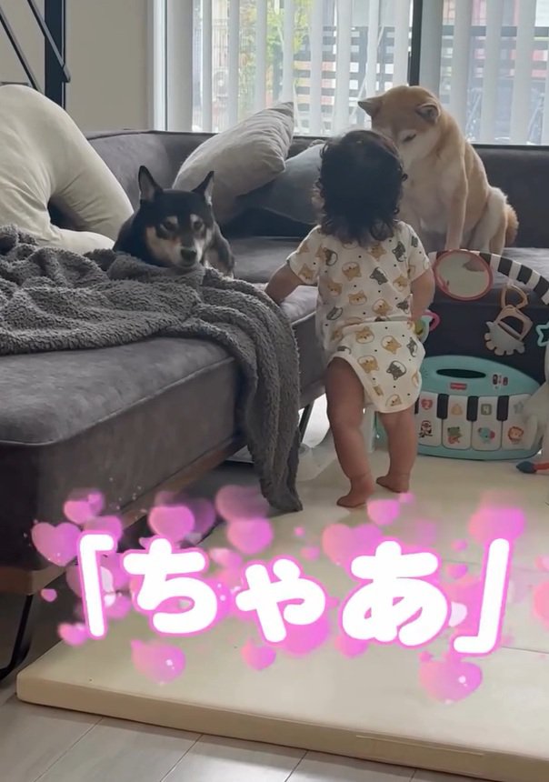 ちゃあと呼ぶ息子さん