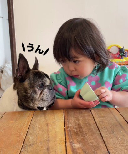 うなずく丸男ちゃん