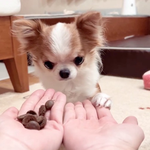 ショックから立ち直れない海くん