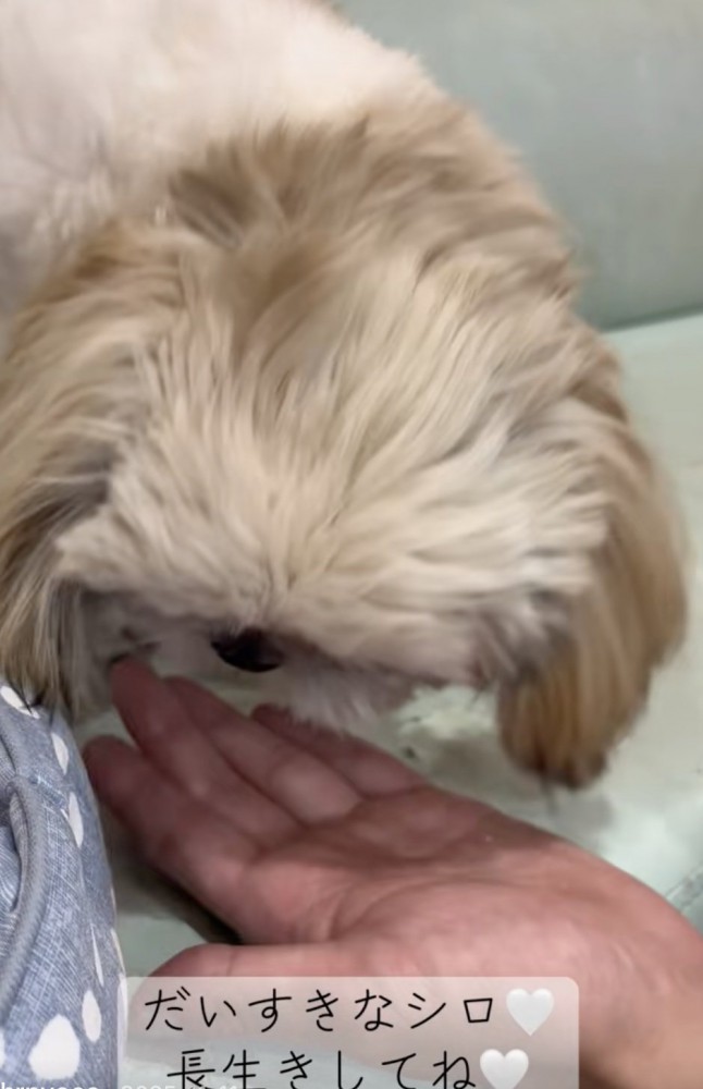 奇跡、起きました