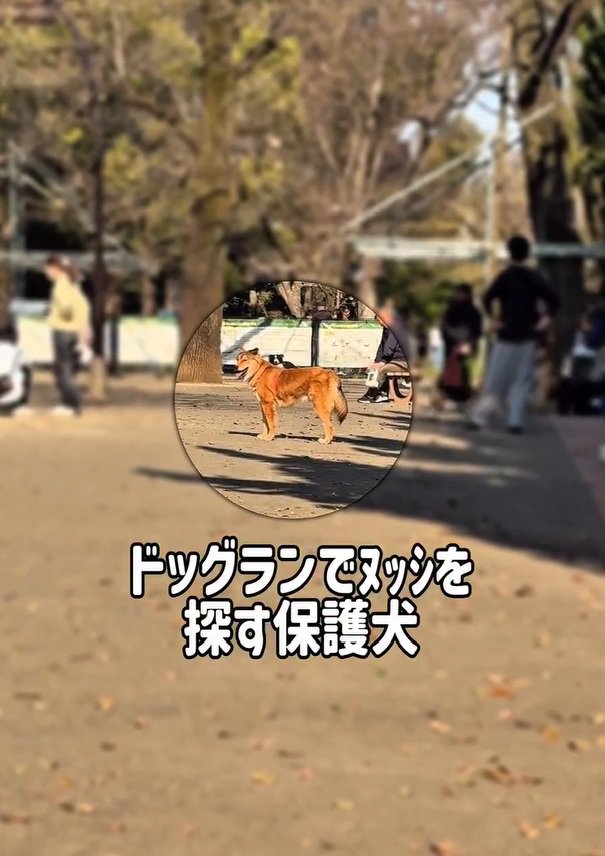 ママを見失ったラッキーくん