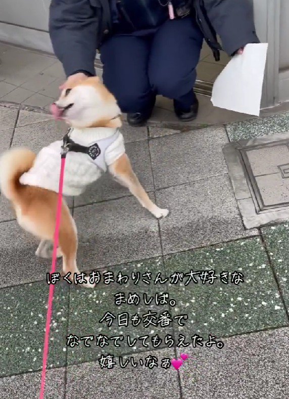 お散歩がもっと好きになりそう！