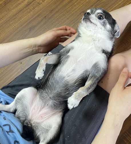 無防備