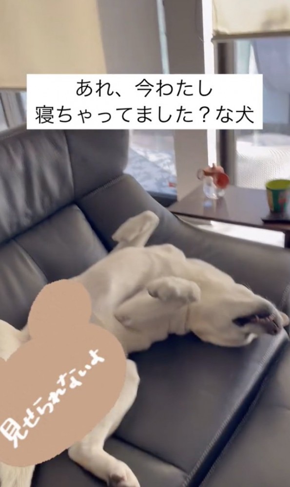 爆睡中