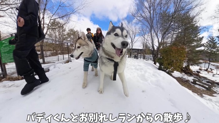 一晩寝て完全復活！