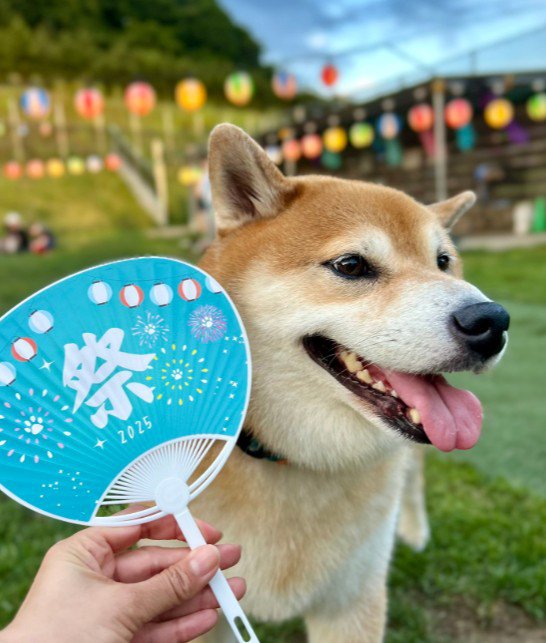 お祭りが似合う！