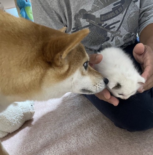 みんなで見守ってきました