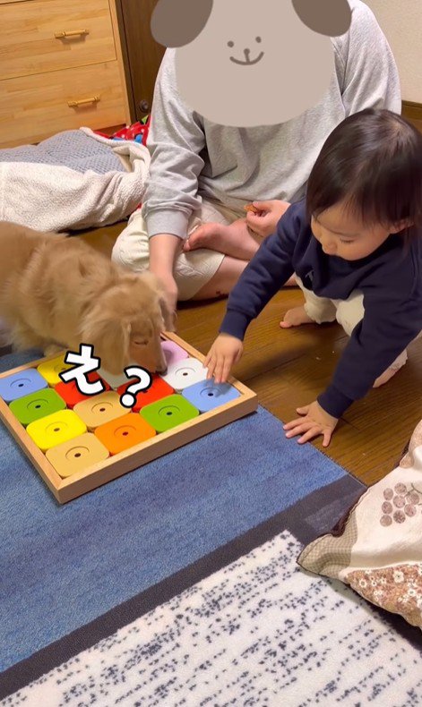 オヤツ探し開始！と思いきや…