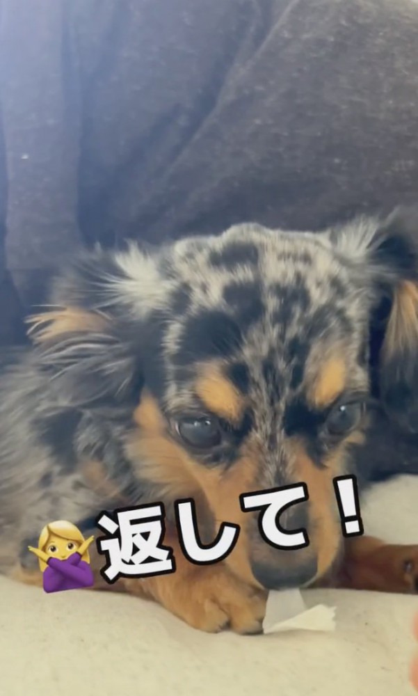 返して