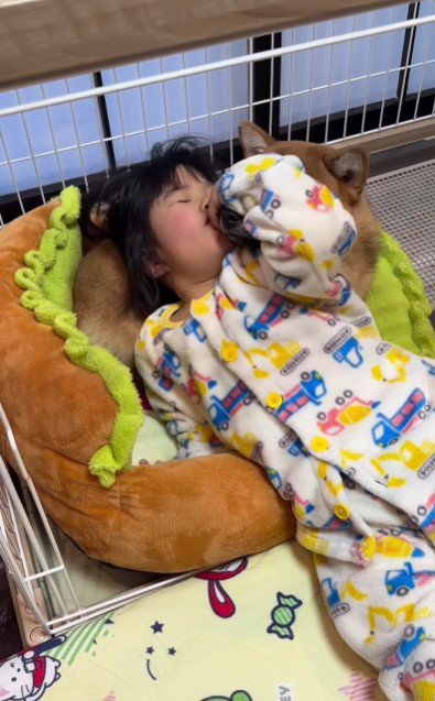 寝ながらコロちゃんにキス♡