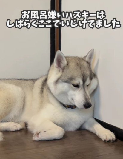 「はあ…」