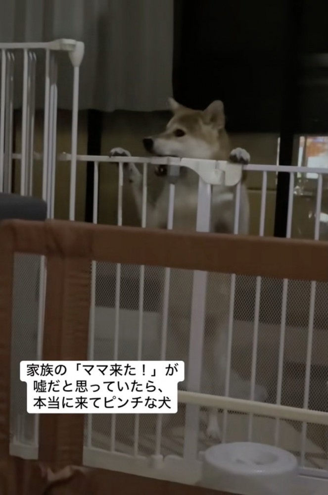 止まらないイタズラ