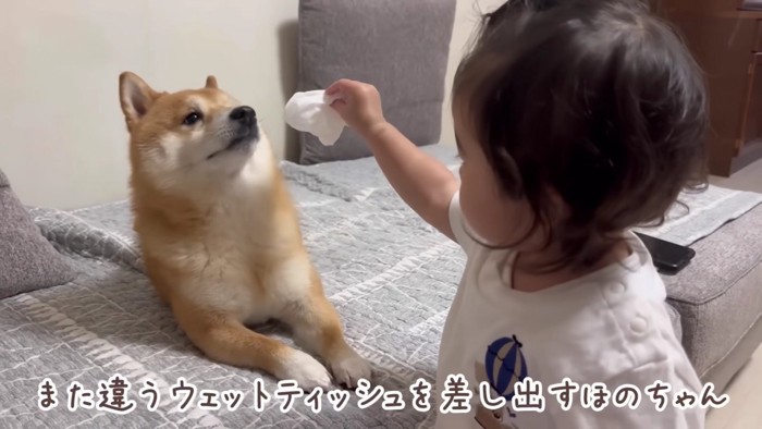 再びうにくんの元へ