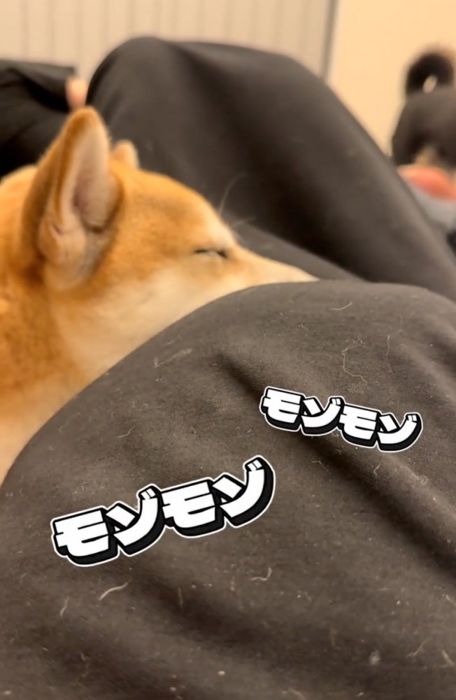 胎動