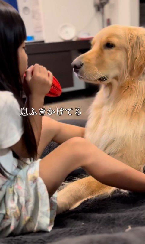 女の子とシンバくんのやり取り3