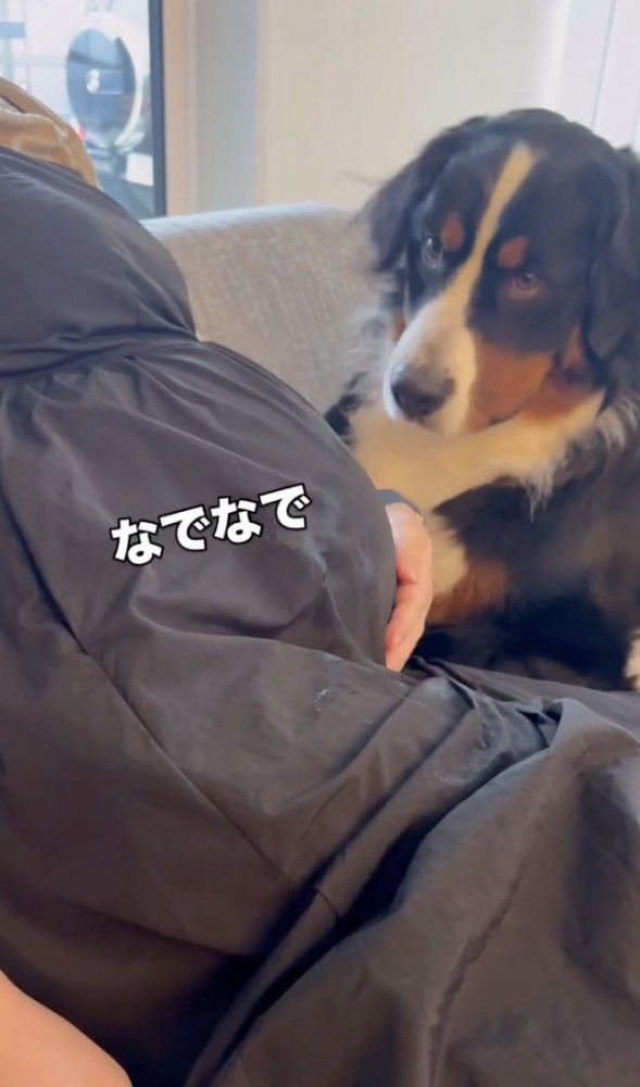 そっと見守ります