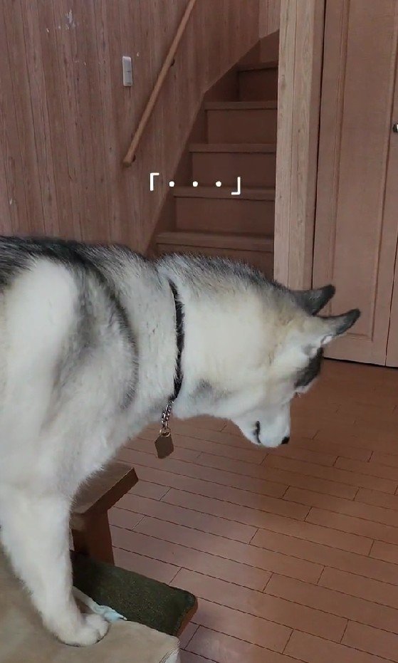 「出られた…？」