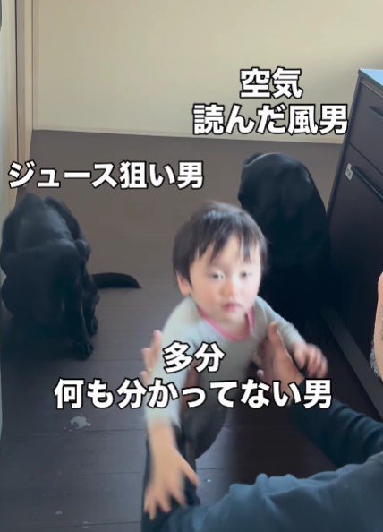 「うちの弟がごめんなさい」