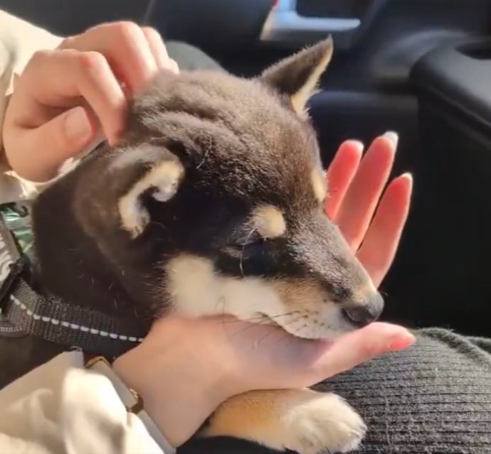 動物病院