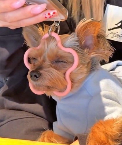 気持ち良さそうな寝顔♡