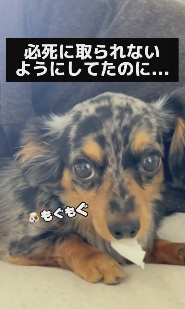 取らないで