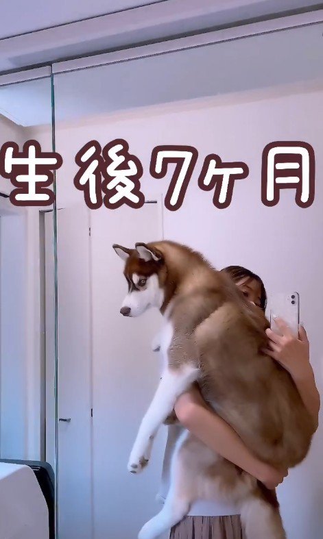 るい君の成長記録7