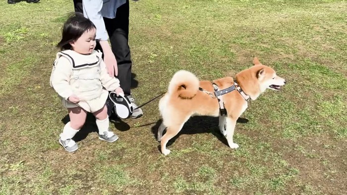 ちゃんとお散歩出来てる！！