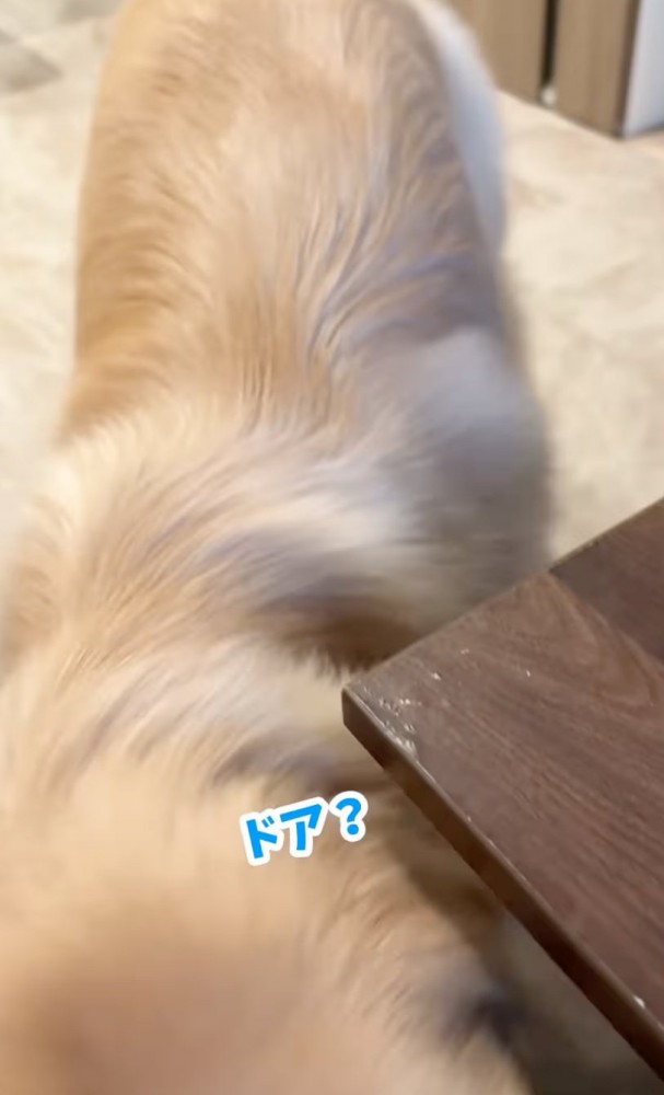 戸惑った様子