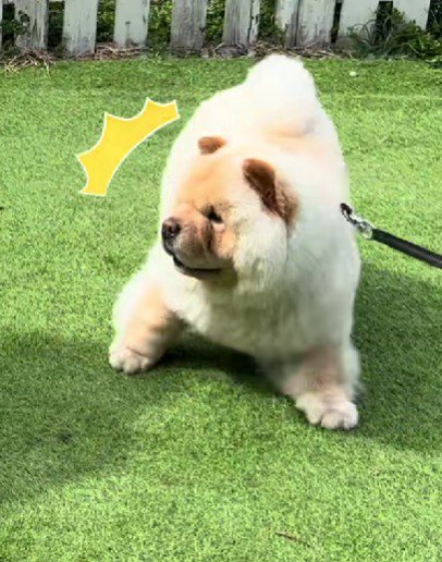 「え！なに！？」