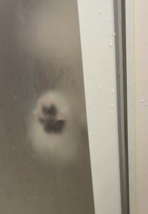 前足をかけると…