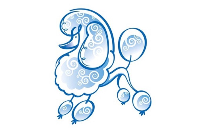 トイプードルのブルーのイラスト