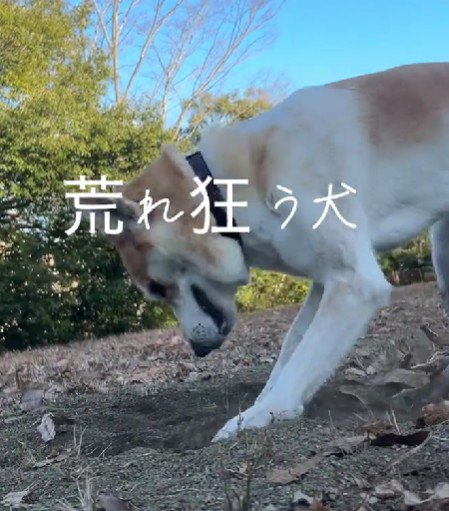 和威くんの意外な一面