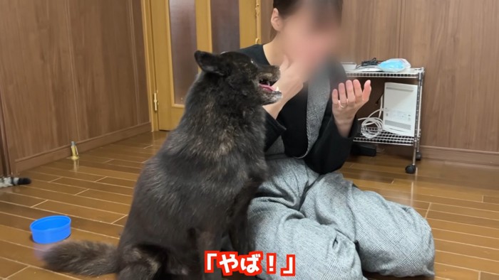 一休くんとママさん4