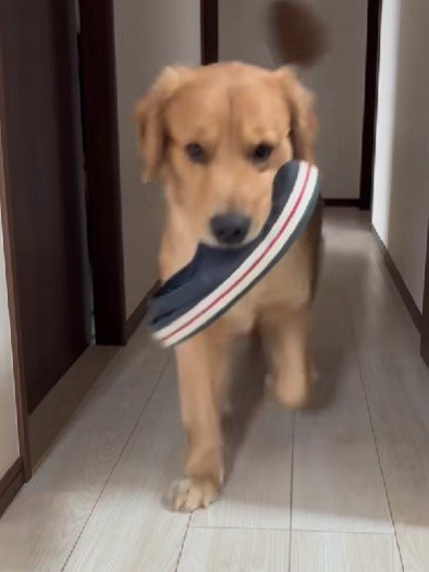 とてもわんぱくだった!!