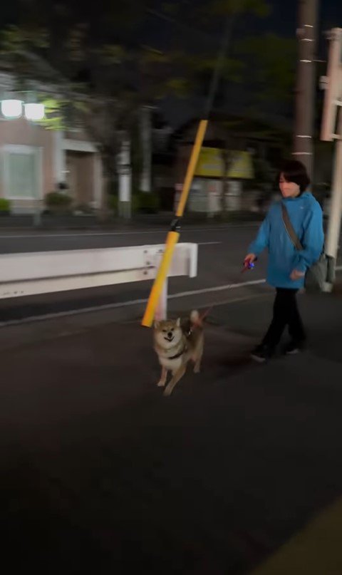 はちちゃんにドッキリを仕掛けた時の反応4