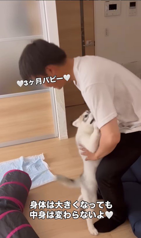 イヴちゃんとお兄ちゃん4