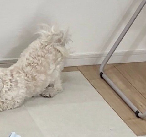 初見のモノにブチギレ!!