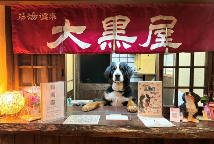 看板犬