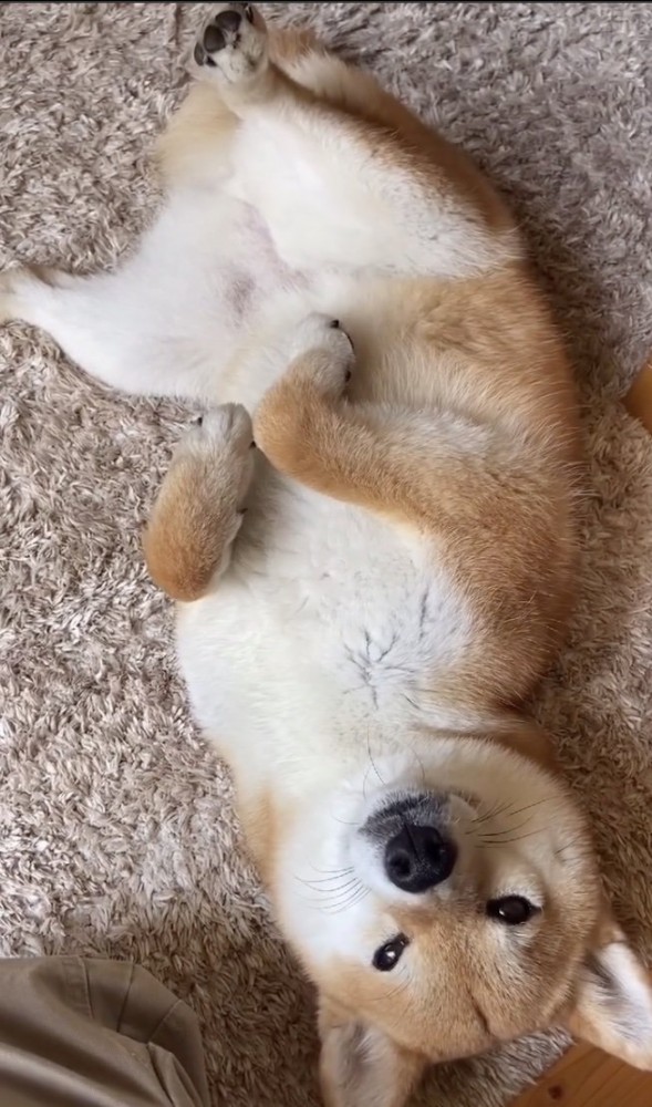 あざとさ全開