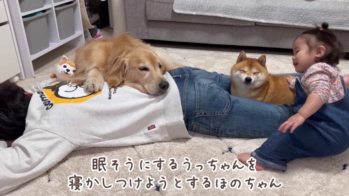 うにくんを寝かしつけ