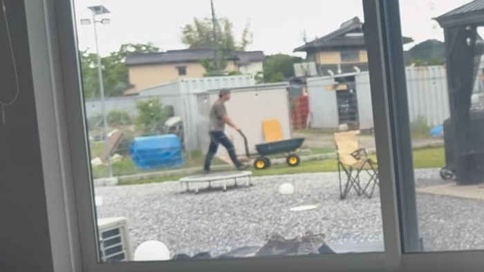 大きなカートを購入