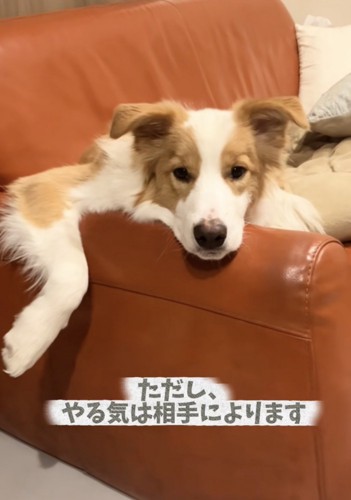 朝から大役お疲れさま