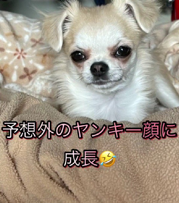 細眉がチャームポイント