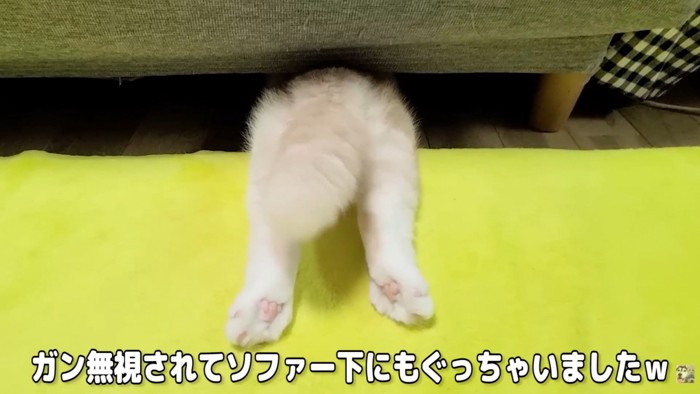 拗ね方が可愛すぎる！