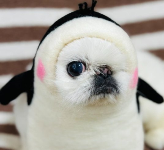 ウィンク
