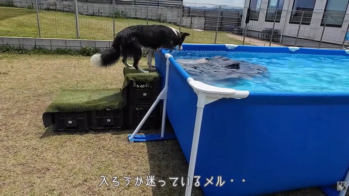 プールに入るのをためらうメルちゃん