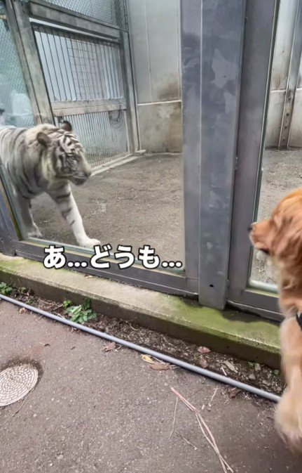 「あ…どうも…」